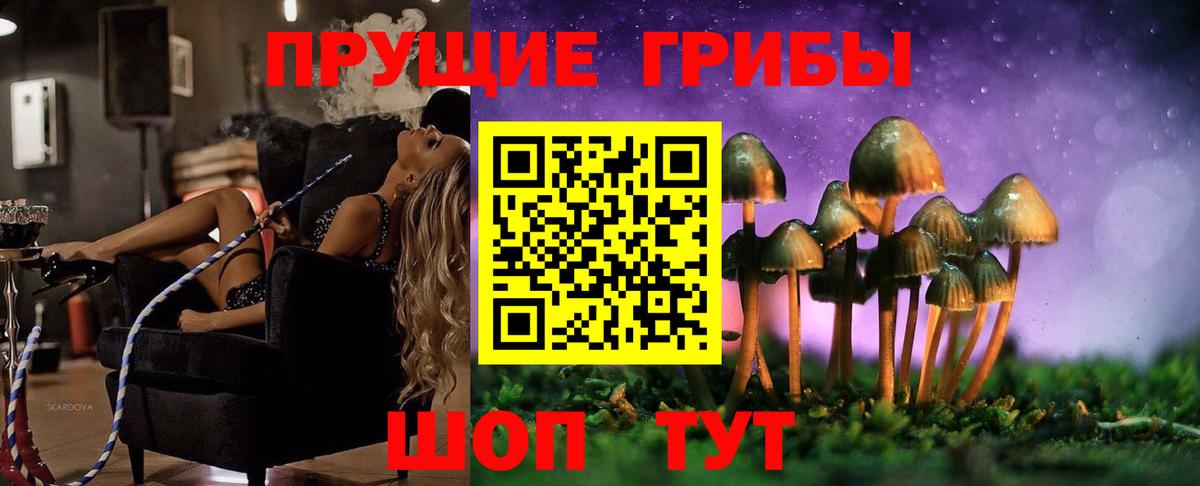дарнет шоп  Псилоцибиновые грибы ЛСД  Оренбург  Вход с VPN  Псилоцибиновые грибы Psilocybe 