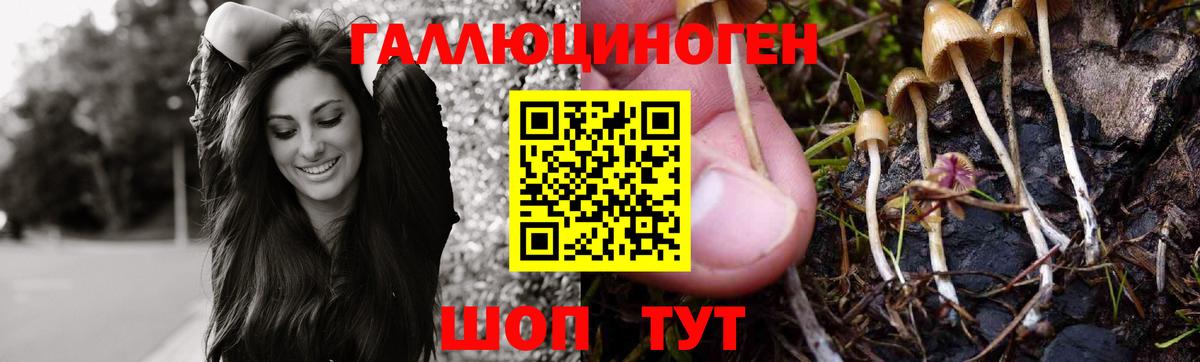 Псилоцибиновые грибы мухоморы Оренбург